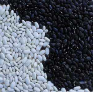 beans