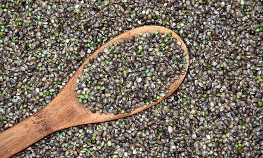 hemp