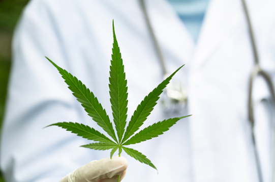 medical marijuana