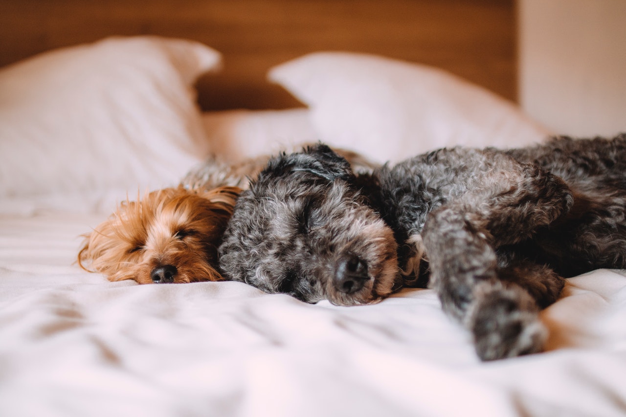 Sleeping 